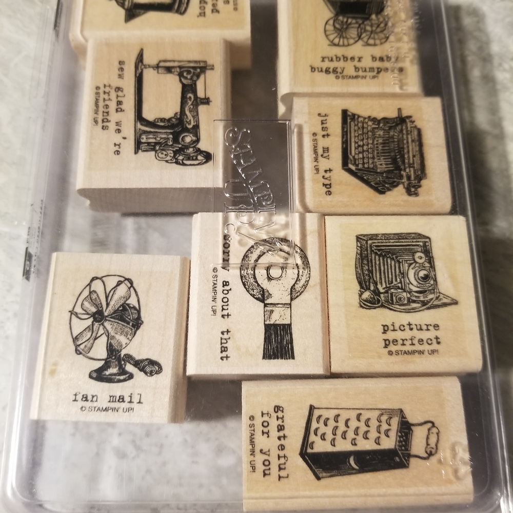 Stampin up Set  Puns From The Past